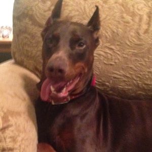 Meet your Posher, Danielle